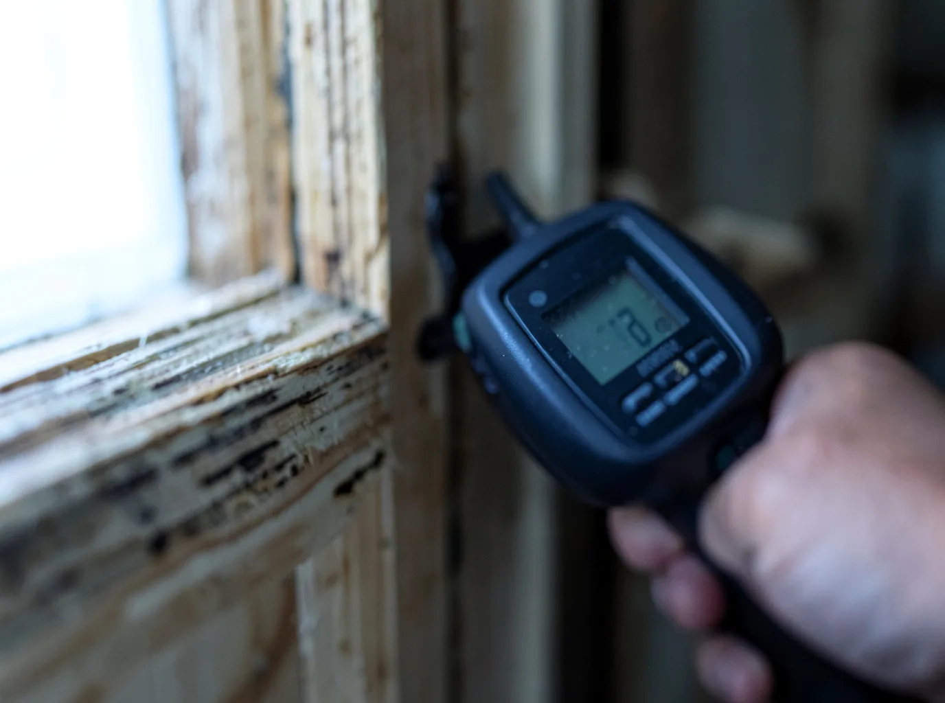 Moisture Inspection And Documentation in Greenwood Springs, MS